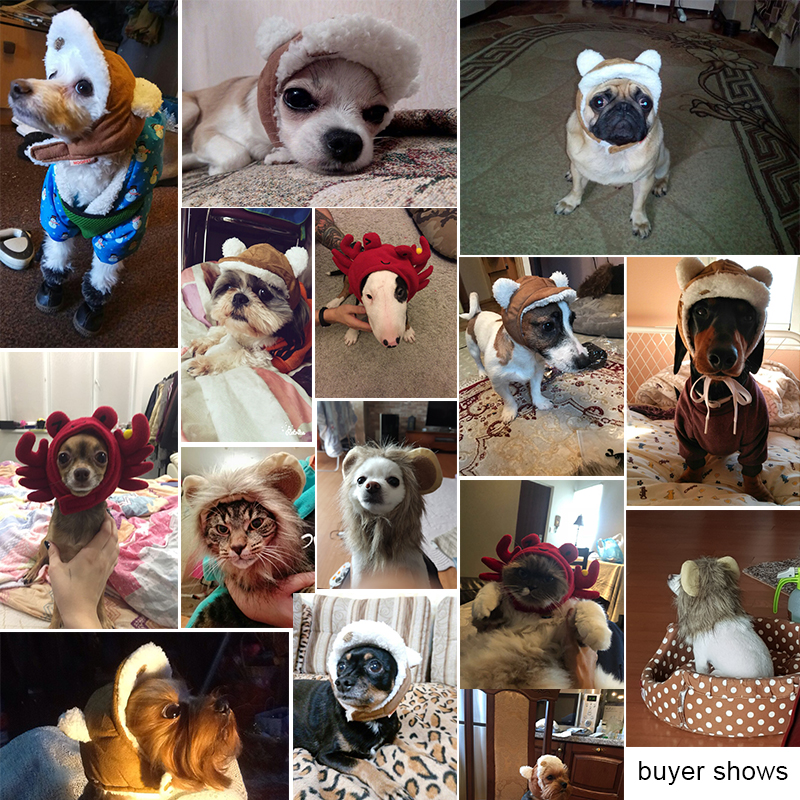 Pet Costumes Headwear