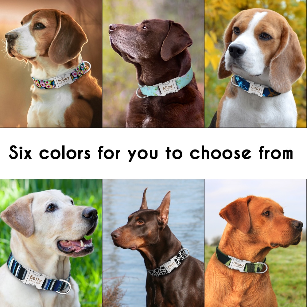 Personalized Dog Collars Engraved Nameplate