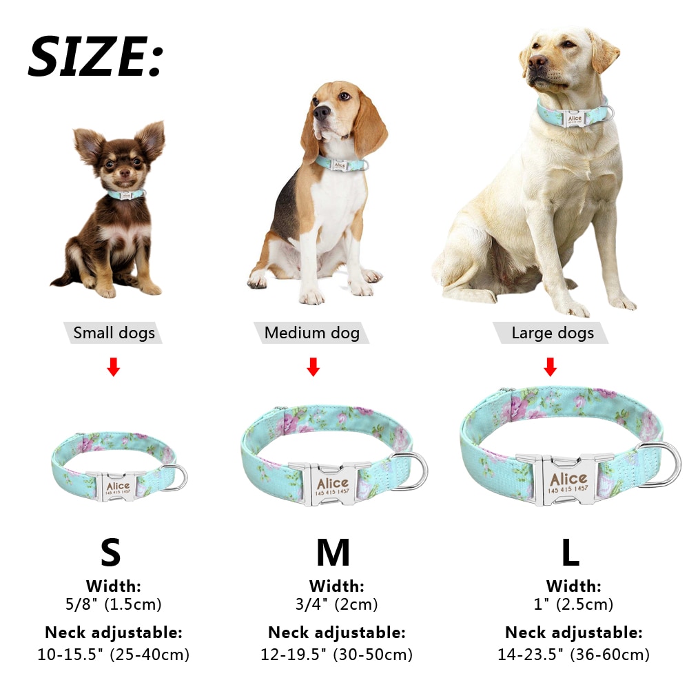 Personalized Dog Collars Engraved Nameplate