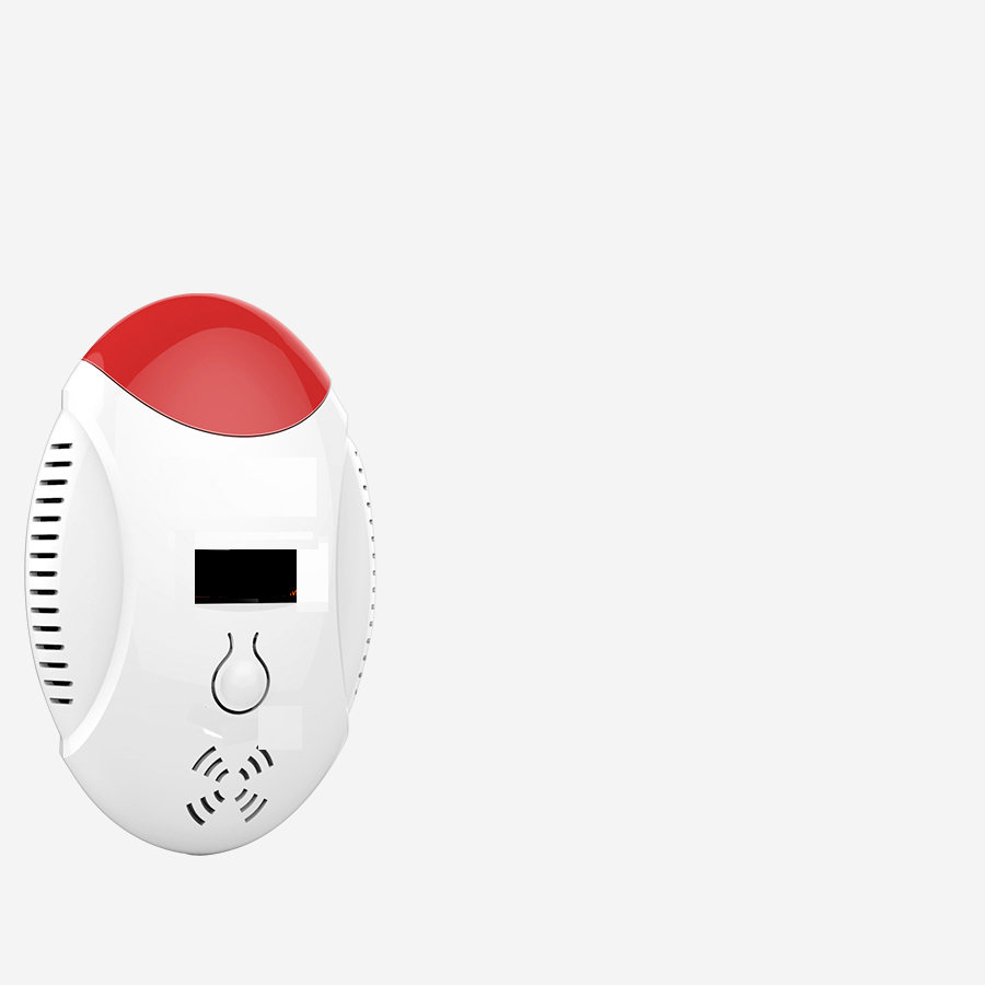 Carbon Monoxide Detector Alarm