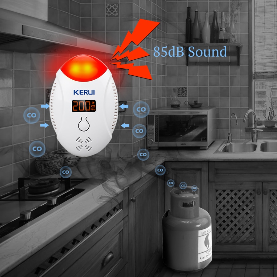 Carbon Monoxide Detector Alarm