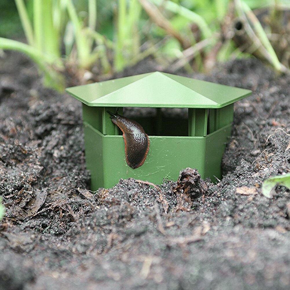 Slug and Snail Trap Plastic Box