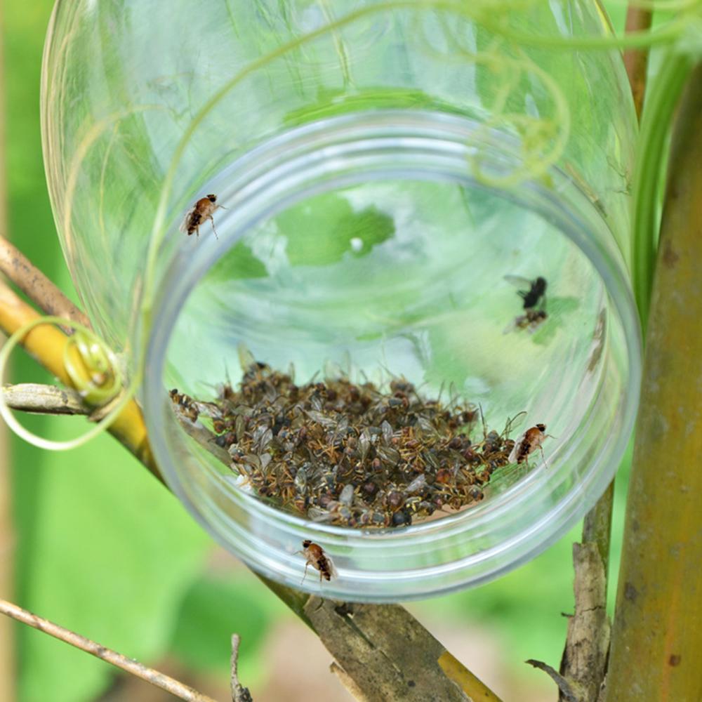 Hanging Fly Trap Pest Killer