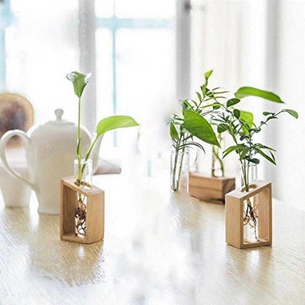 Test Tube Vase Glass Plant Holder