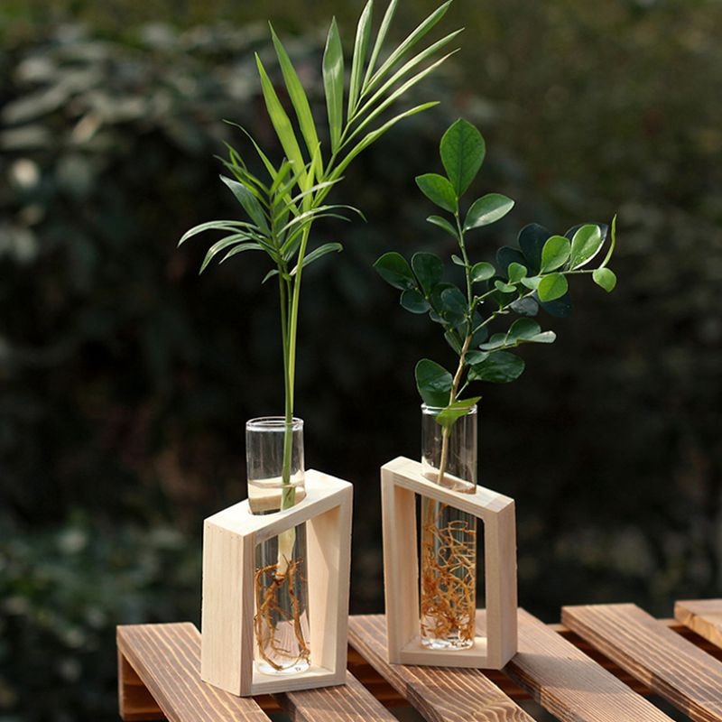 Test Tube Vase Glass Plant Holder