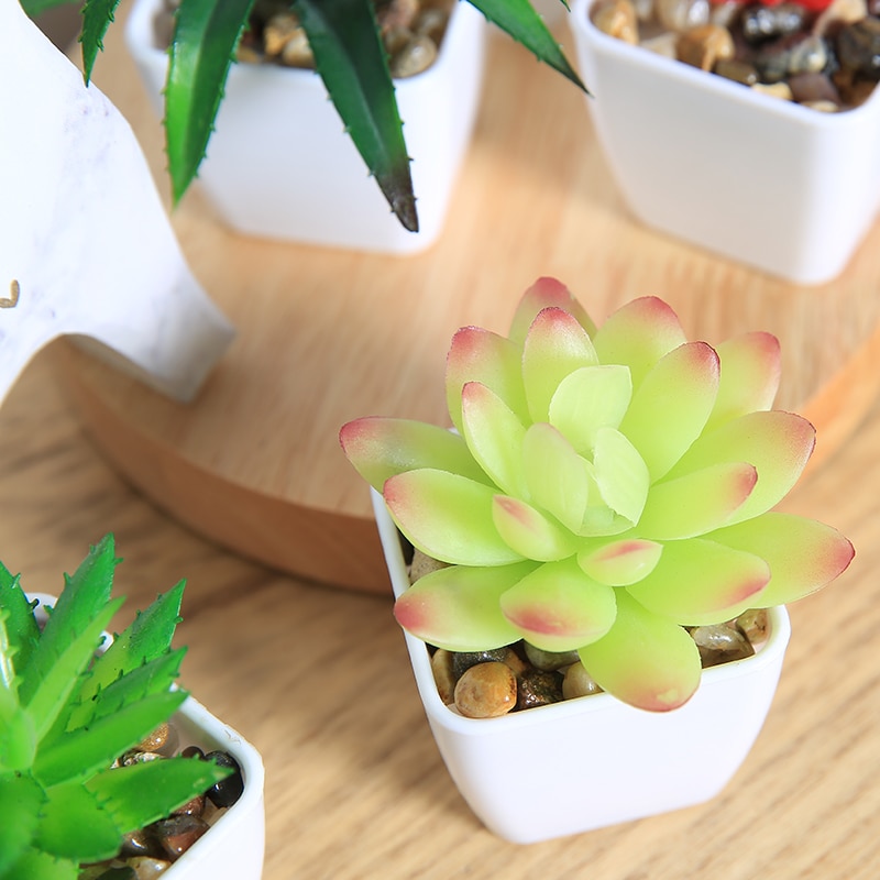 Fake Succulents Potted Artificial Plant