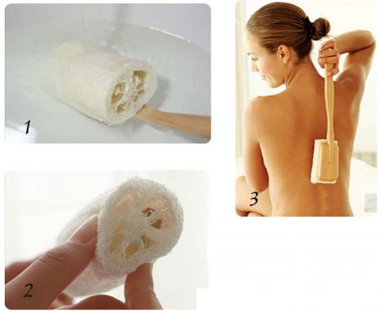 Shower Loofah (Set of 3)