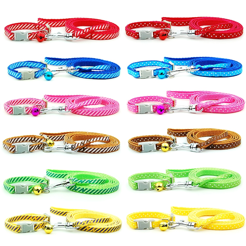 Collar and Leash for Small Pets