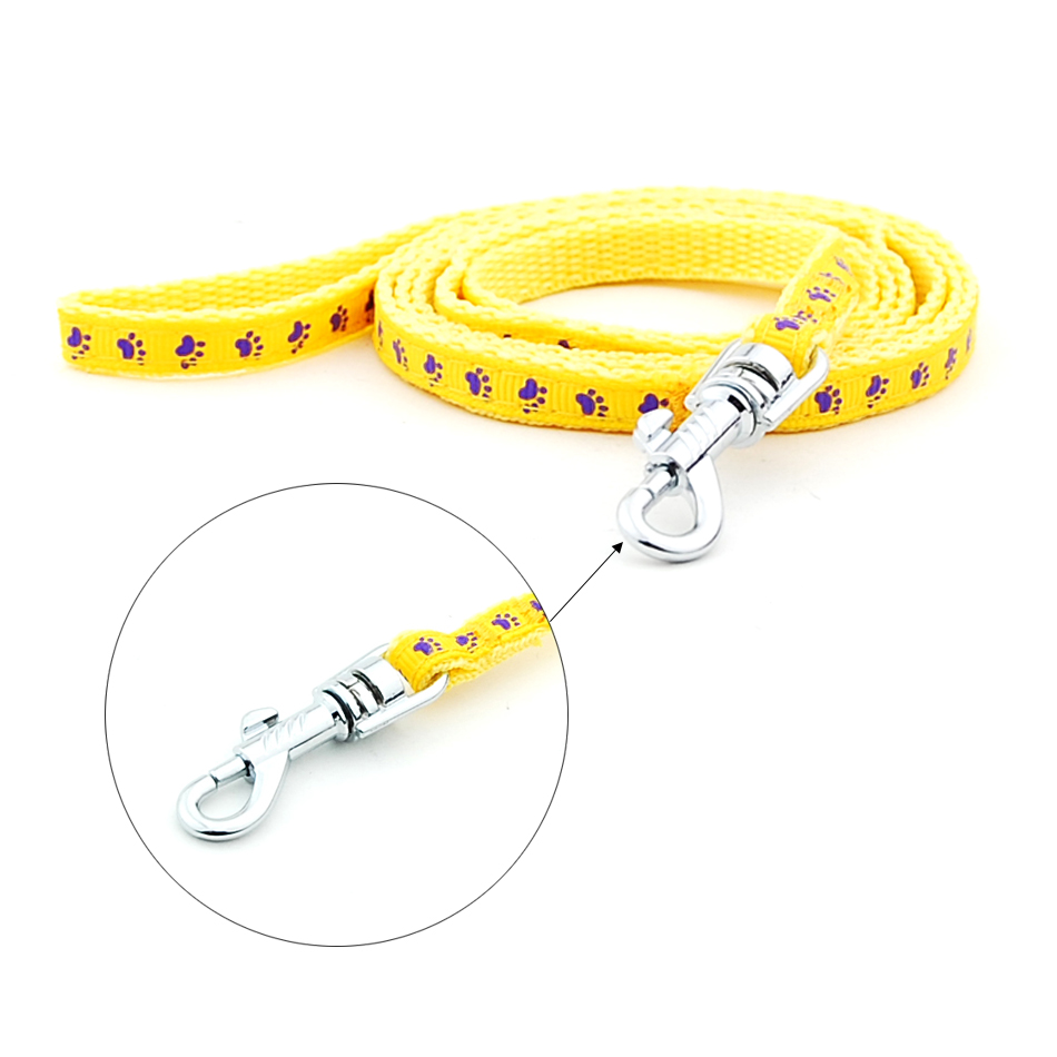 Collar and Leash for Small Pets