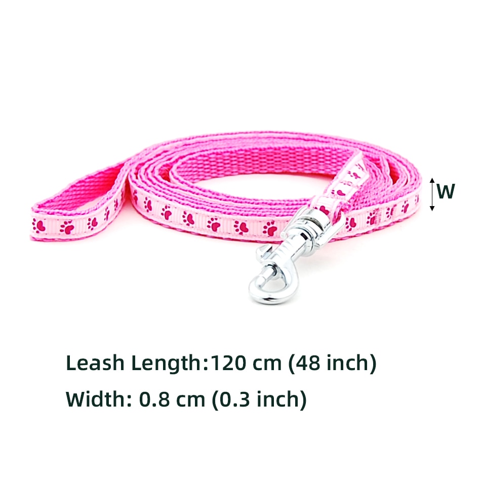 Collar and Leash for Small Pets