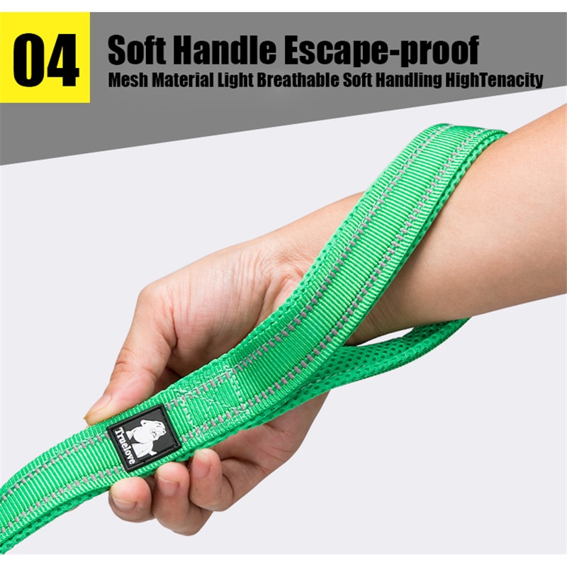 Pet Leash Reflective Strap