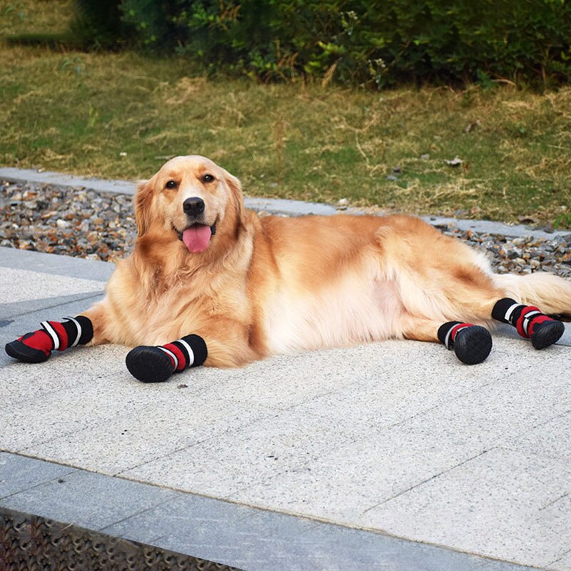 Dog Snowshoes Waterproof and Reflective