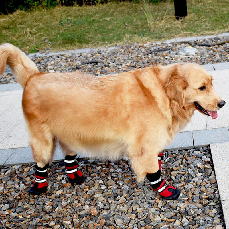 Dog Snowshoes Waterproof and Reflective