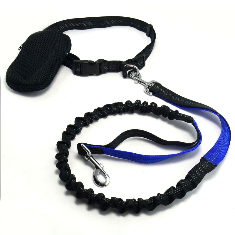 Dog Running Leash Elastic Rope