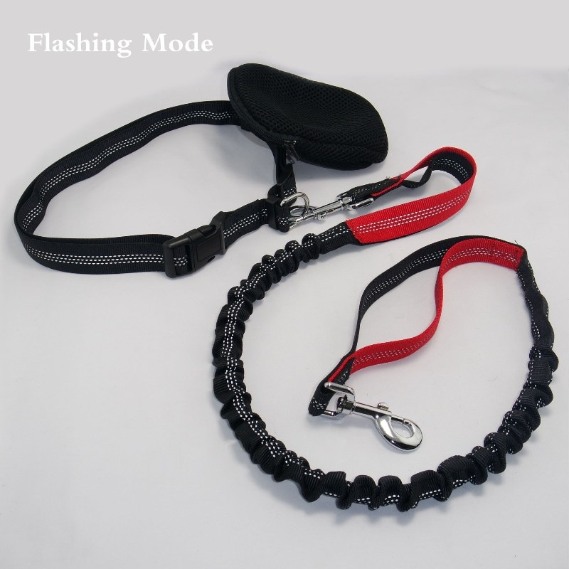 Dog Running Leash Elastic Rope