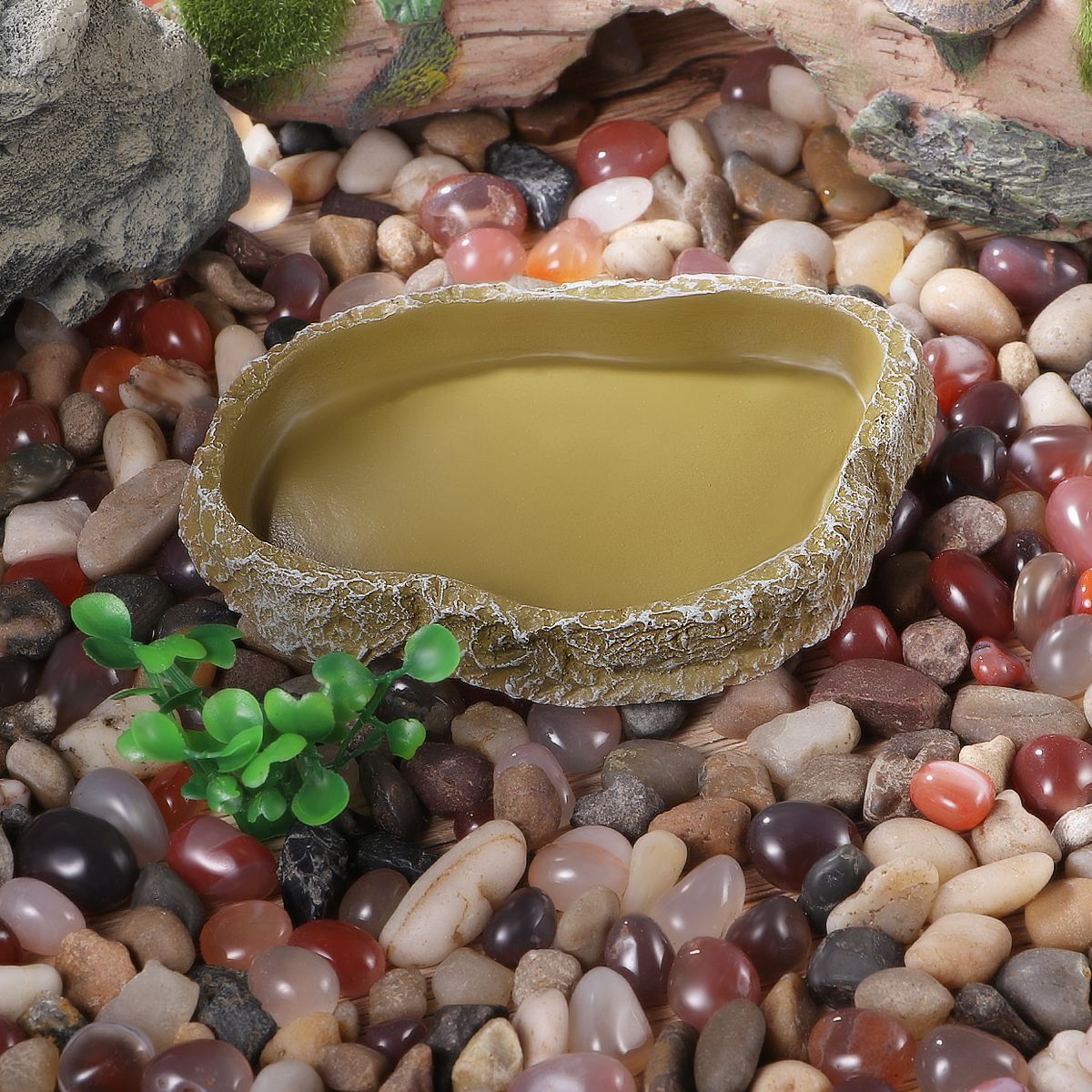 Non Slip Resin Reptile Water Bowl