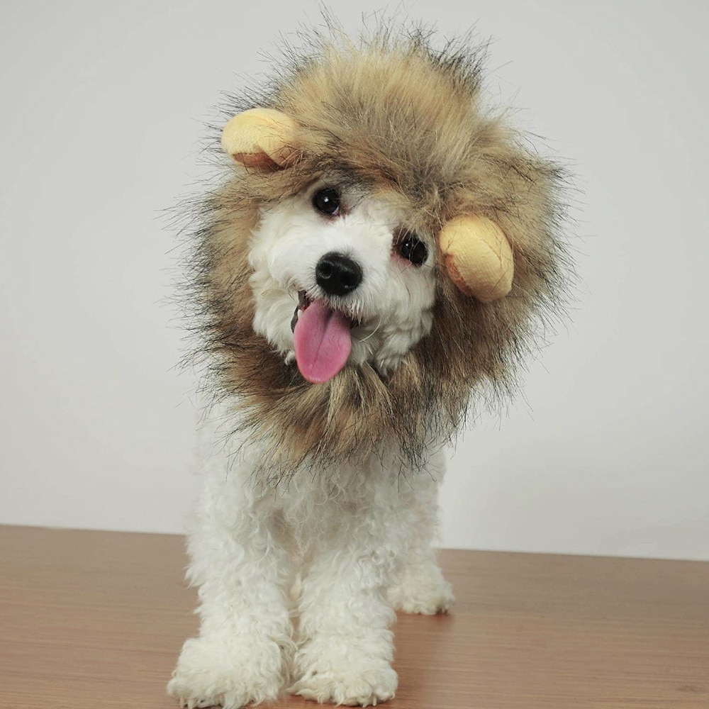 Cat Lion Maine Funny Pet Costume