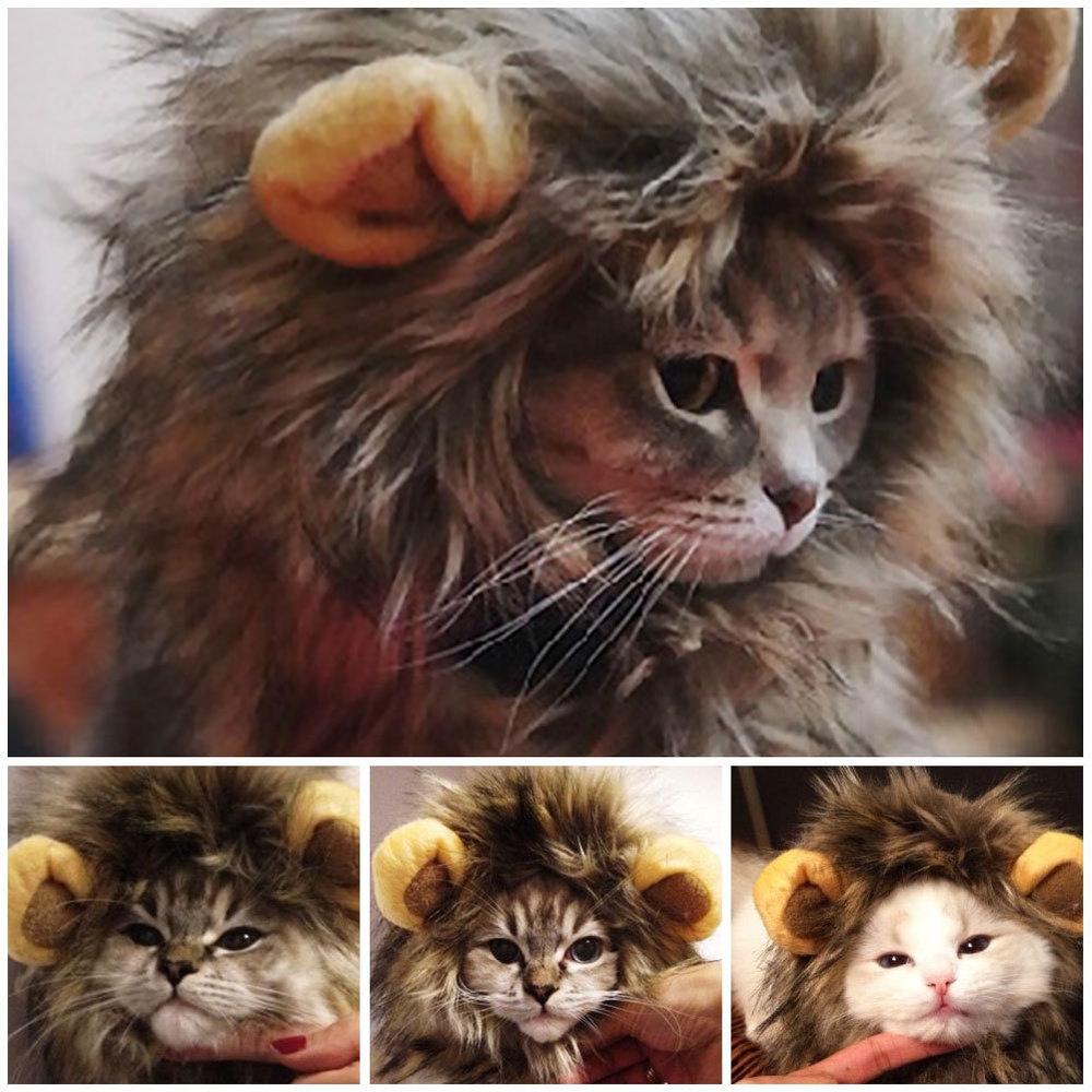 Cat Lion Maine Funny Pet Costume