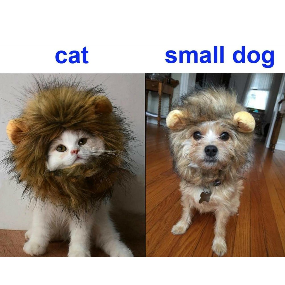 Cat Lion Maine Funny Pet Costume