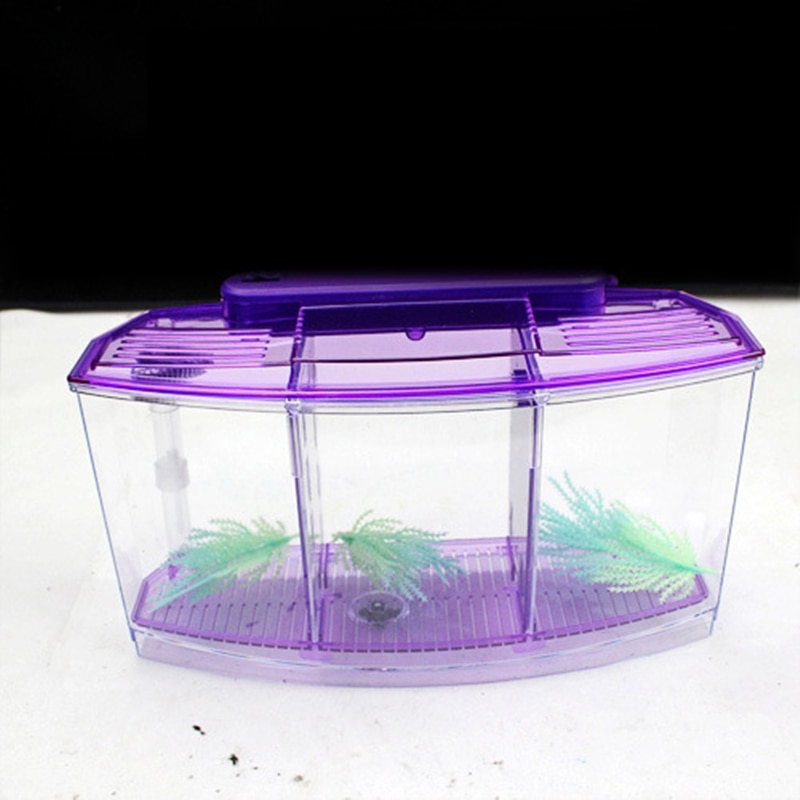 Triple Betta Tank Acrylic Enclosure with LED Lights