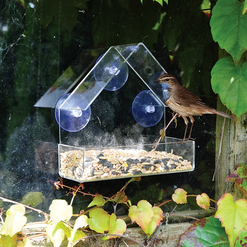 Clear Birdhouse Window Shelter Feeder