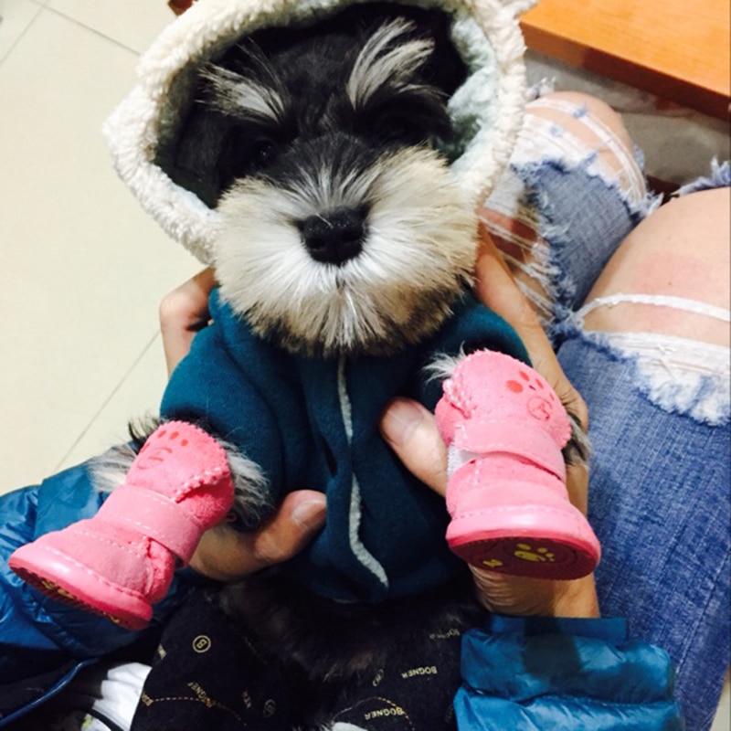 Dog Snow Boots Pet Winter Shoes