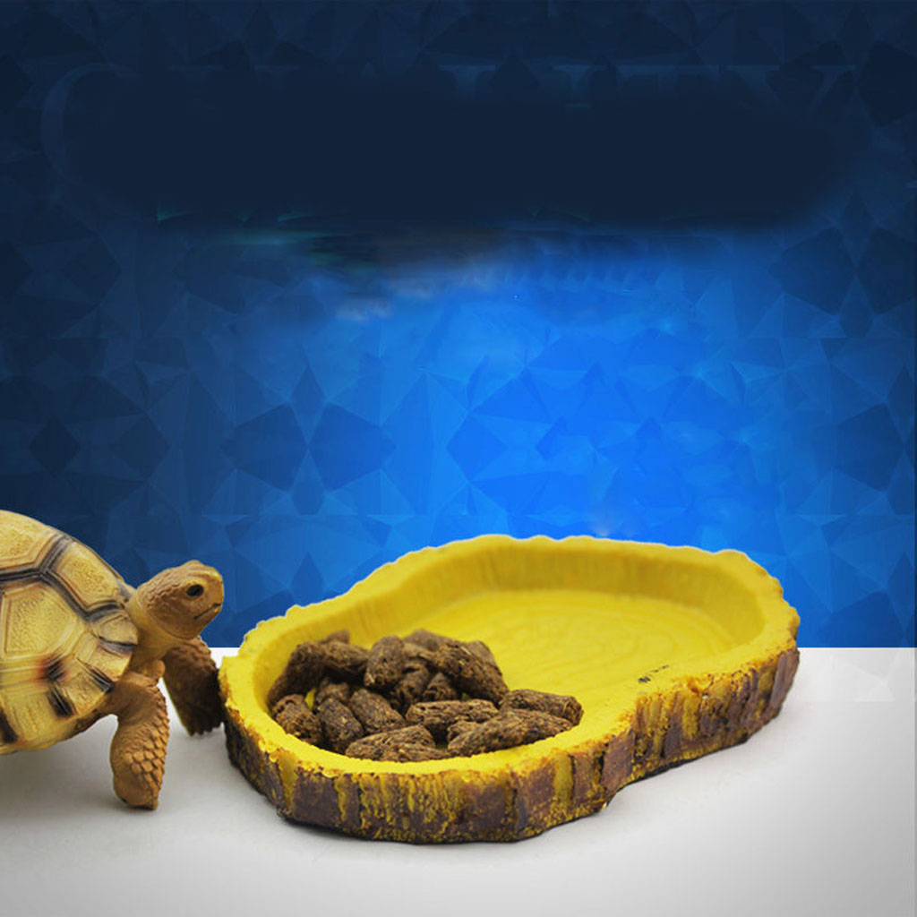 Reptile Bowl Resin Feeding Dish