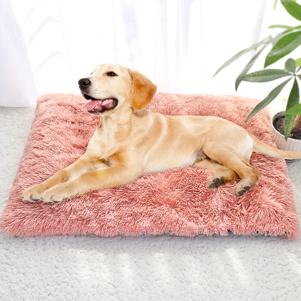 Plush Pet Bed Cushion Bed