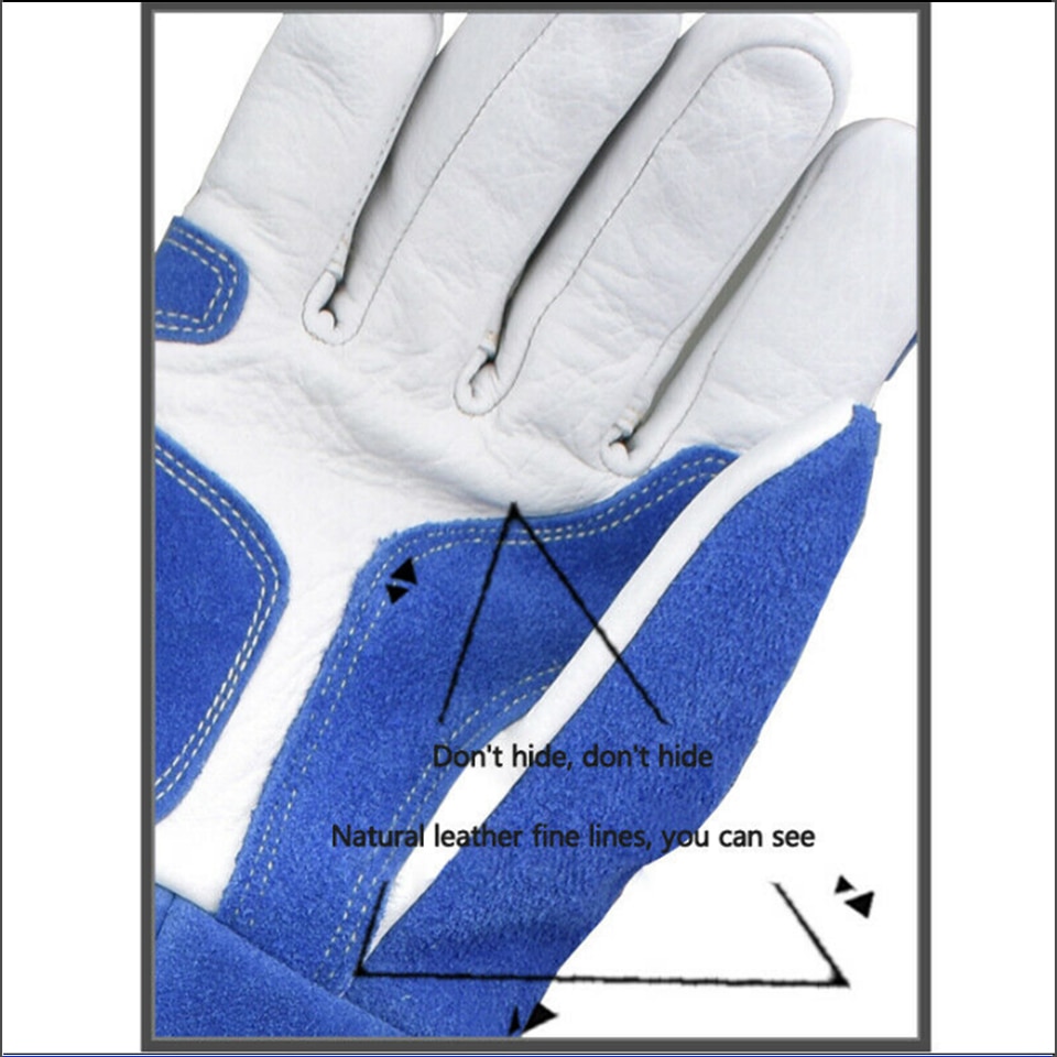 Bird Handling Gloves Training Supplies