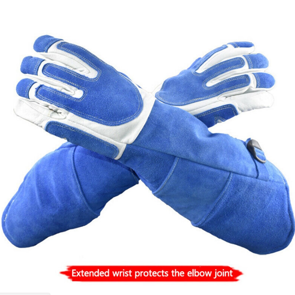 Bird Handling Gloves Training Supplies