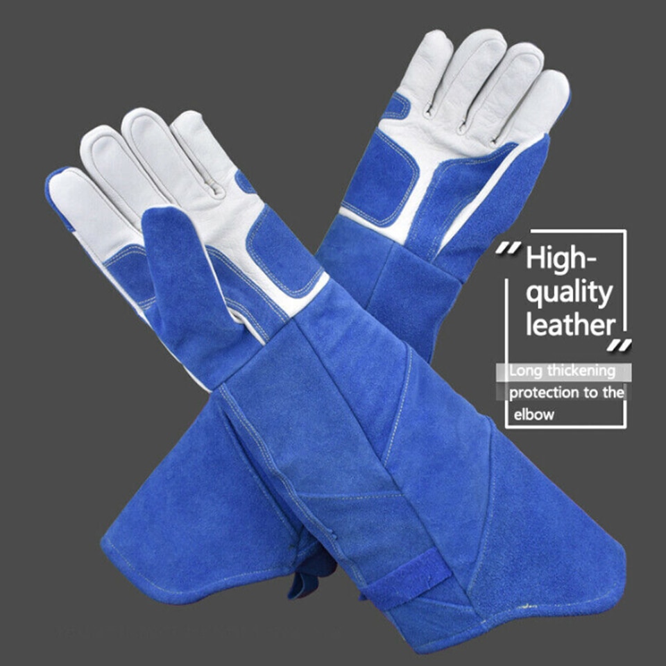 Bird Handling Gloves Training Supplies