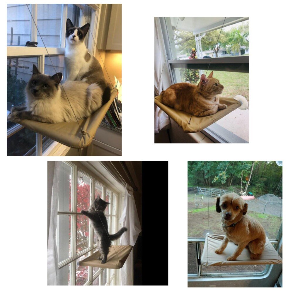 Hanging Cat Hammock Window Bed