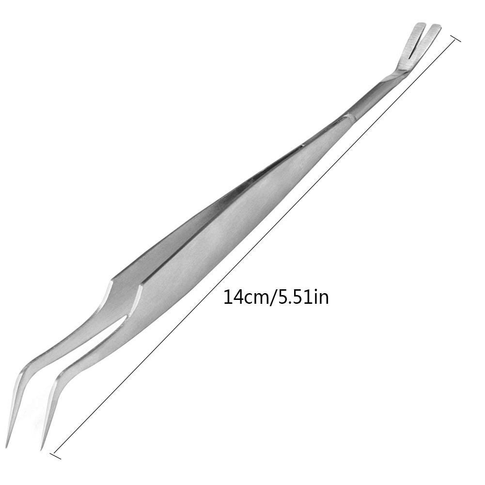 Tick Removal Tweezers Grooming Tool