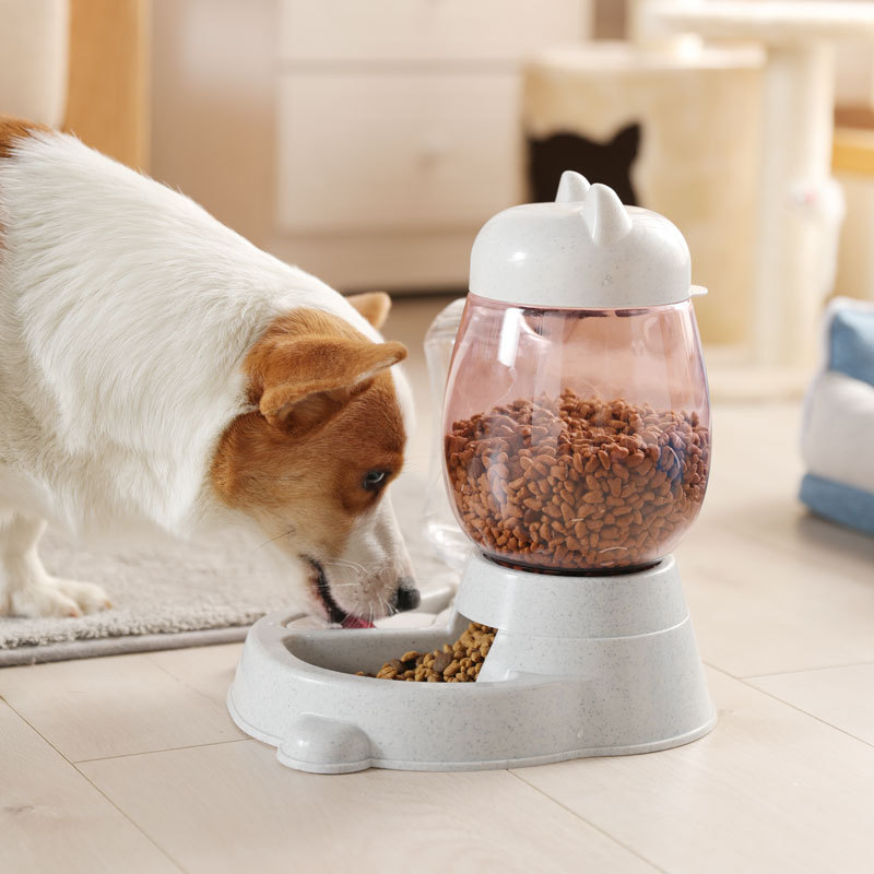 Cat Food Feeder and Water Dispenser