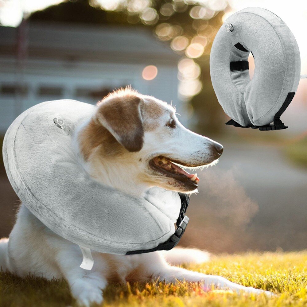 Inflatable Collar Medical Pet Collar