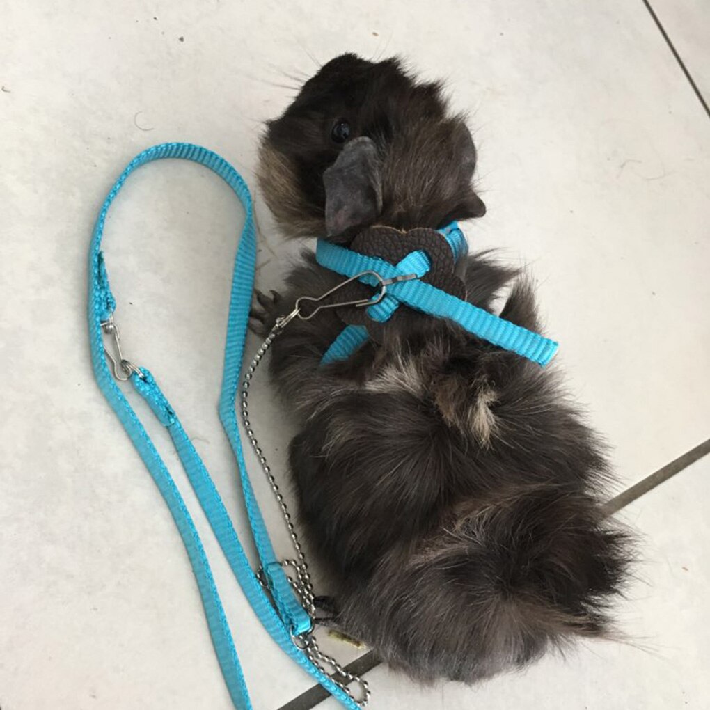 Rat Harness Adjustable Pet Leash