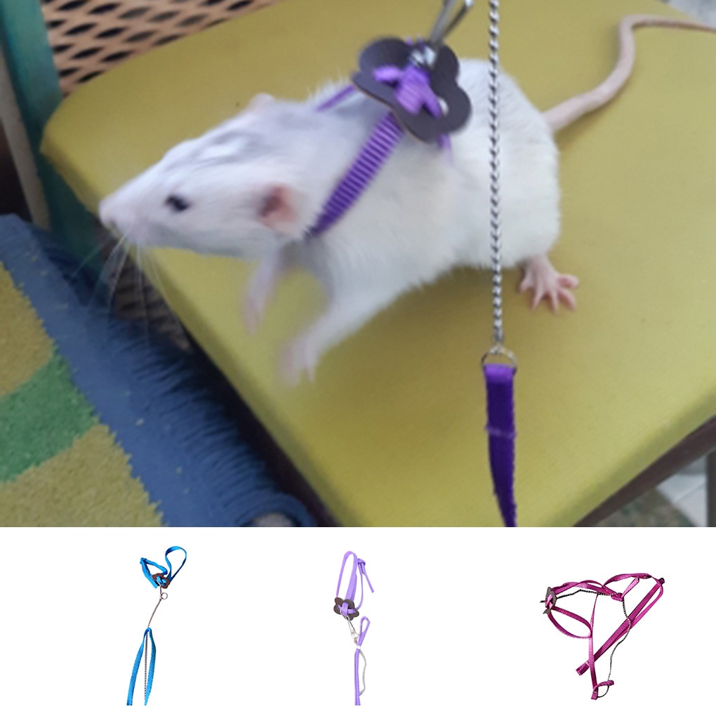 Rat Harness Adjustable Pet Leash