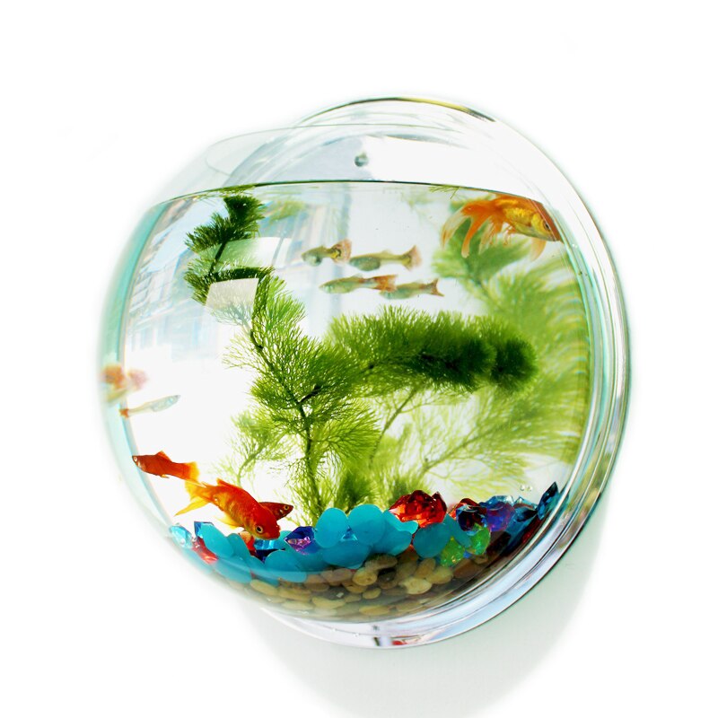 Hanging Fish Bowl Plant Wall Aquarium