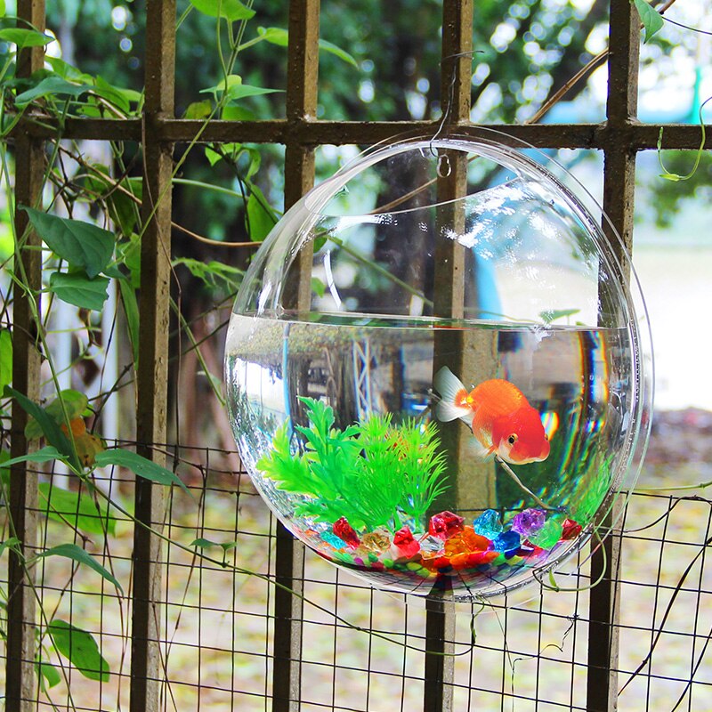 Hanging Fish Bowl Plant Wall Aquarium