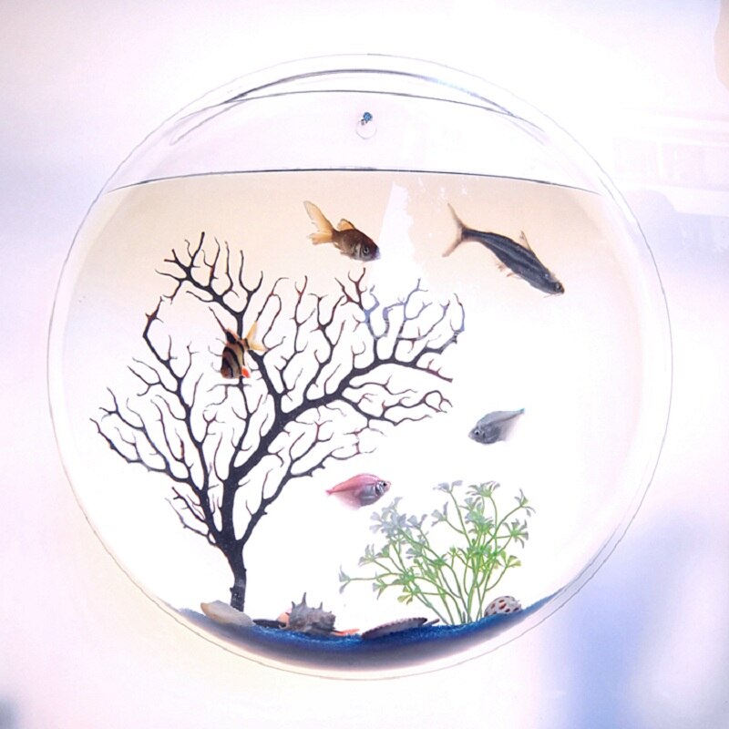 Hanging Fish Bowl Plant Wall Aquarium