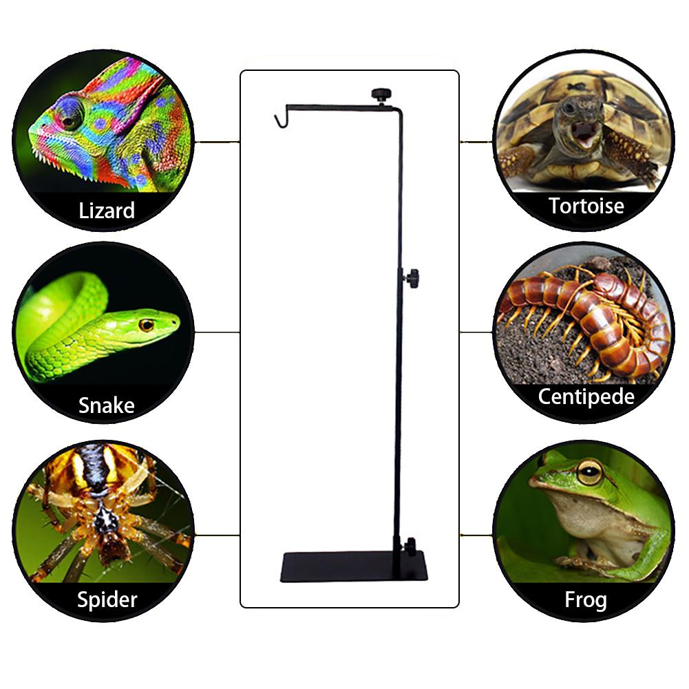 Reptile Lamp Stand Adjustable Holder