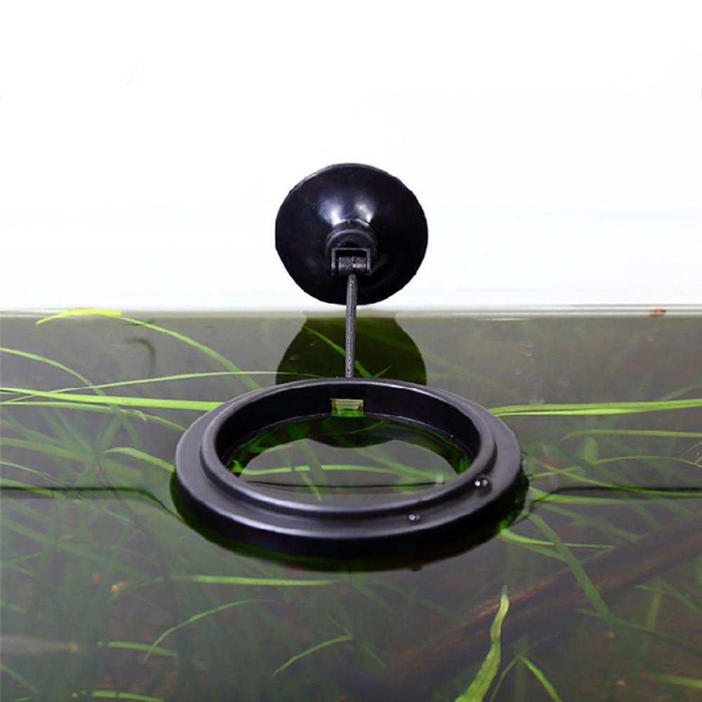 Floating Fish Feeder Aquarium Accessory 