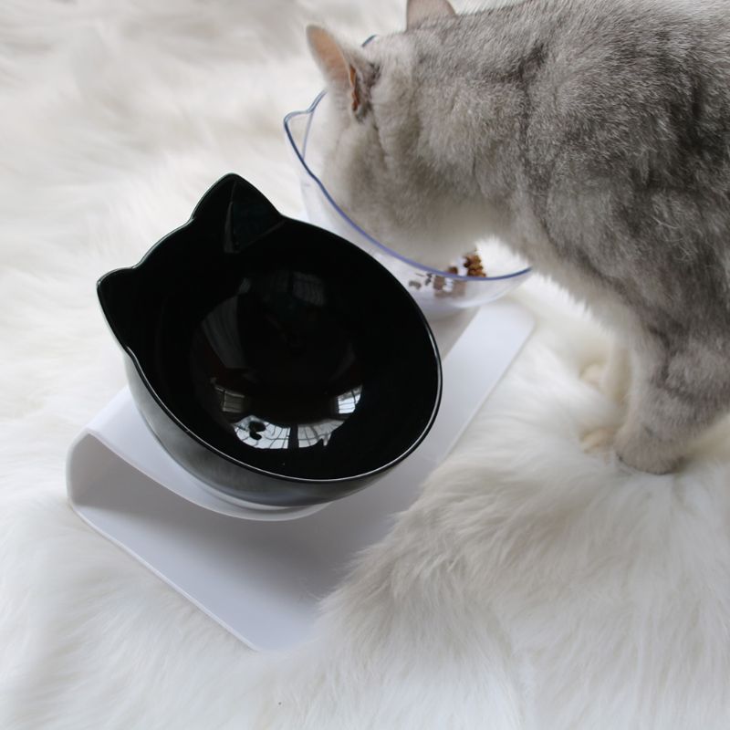 Raised Pet Bowls Food and Water Bowls (2Pcs)