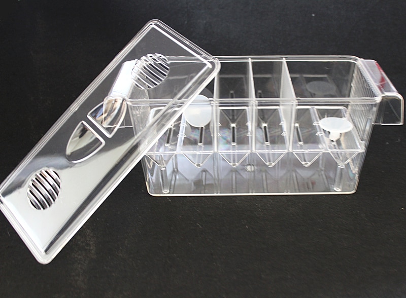 Fish Breeding Tank Acrylic Isolator