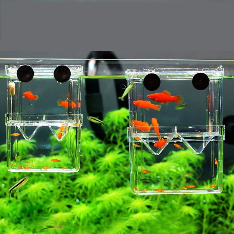 Fish Breeding Tank Acrylic Isolator