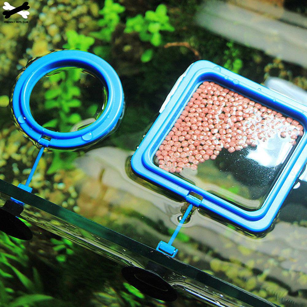 Feeding Ring with Suction Cup