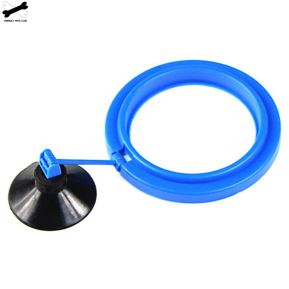 Feeding Ring with Suction Cup