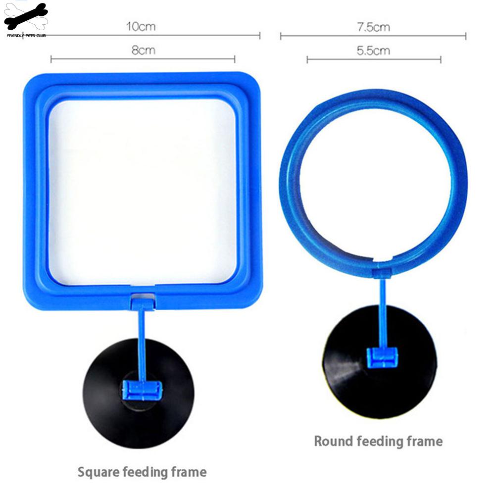 Feeding Ring with Suction Cup