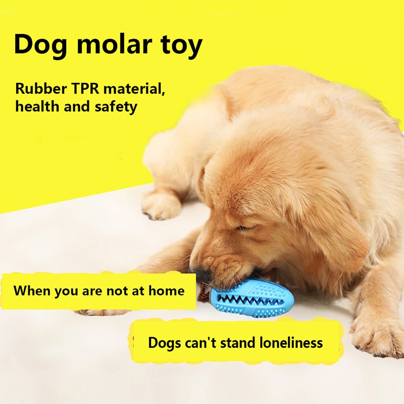 Dog Toothbrush Toy Pet Accessory 