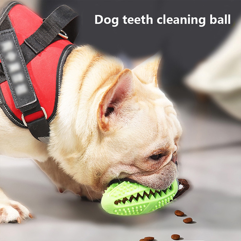 Dog Toothbrush Toy Pet Accessory 